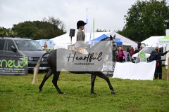 Holsworthy-Main-Ring-105