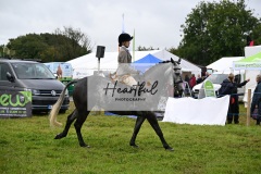 Holsworthy-Main-Ring-106