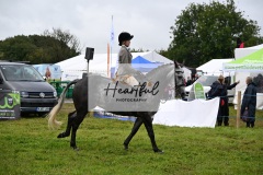 Holsworthy-Main-Ring-107