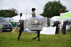 Holsworthy-Main-Ring-108