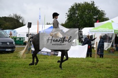 Holsworthy-Main-Ring-109