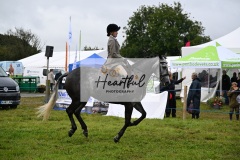 Holsworthy-Main-Ring-110