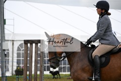 Holsworthy-Main-Ring-111