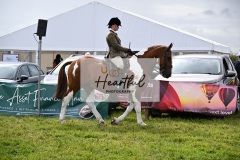 Holsworthy-Main-Ring-112