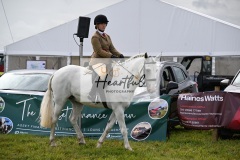 Holsworthy-Main-Ring-115