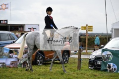 Holsworthy-Main-Ring-116