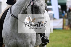 Holsworthy-Main-Ring-117