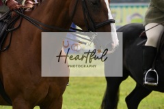 Holsworthy-Main-Ring-118