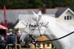 Holsworthy-Main-Ring-120