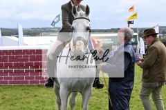 Holsworthy-Main-Ring-125