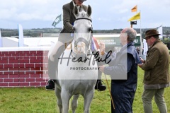 Holsworthy-Main-Ring-126