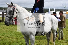 Holsworthy-Main-Ring-129