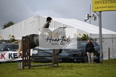 Holsworthy-Main-Ring-148