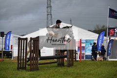 Holsworthy-Main-Ring-149