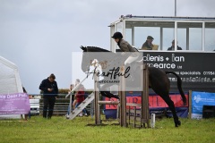 Holsworthy-Main-Ring-164