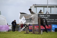 Holsworthy-Main-Ring-165