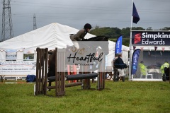 Holsworthy-Main-Ring-168