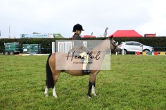 Holsworthy-Ring-A-01