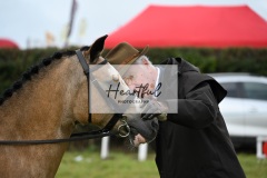 Holsworthy-Ring-A-02