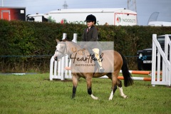 Holsworthy-Ring-A-04