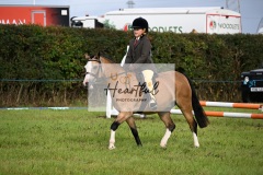 Holsworthy-Ring-A-05