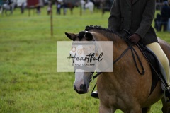 Holsworthy-Ring-A-06