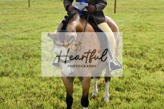 Holsworthy-Ring-A-08