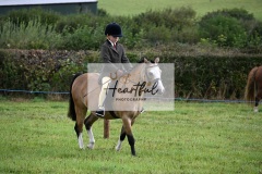 Holsworthy-Ring-A-10