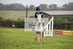 Holsworthy-Ring-A-11