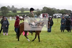 Holsworthy-Ring-A-12