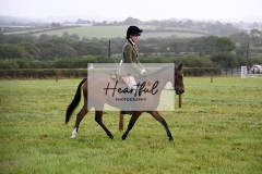 Holsworthy-Ring-A-17