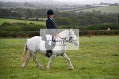 Holsworthy-Ring-A-19