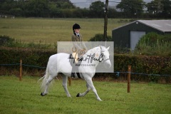 Holsworthy-Ring-A-22