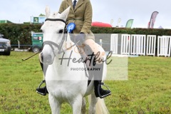 Holsworthy-Ring-A-23