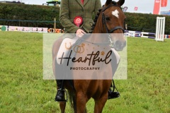 Holsworthy-Ring-A-24