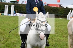 Holsworthy-Ring-A-25