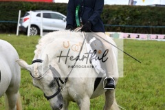 Holsworthy-Ring-A-26