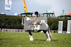 Holsworthy-Ring-A-27