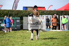 Holsworthy-Ring-A-28