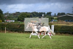 Holsworthy-Ring-A-29