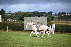 Holsworthy-Ring-A-30