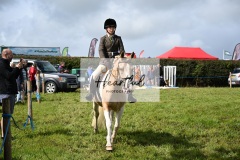 Holsworthy-Ring-A-31