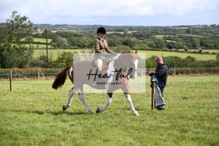 Holsworthy-Ring-A-33