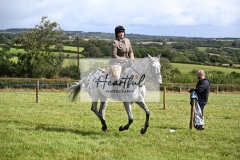 Holsworthy-Ring-A-36