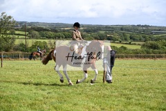 Holsworthy-Ring-A-37