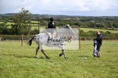 Holsworthy-Ring-A-38