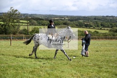 Holsworthy-Ring-A-39