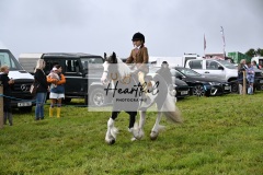 Holsworthy-Ring-A-40