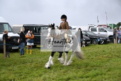 Holsworthy-Ring-A-41