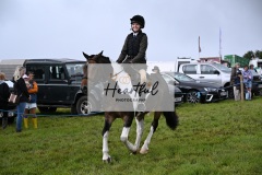 Holsworthy-Ring-A-44